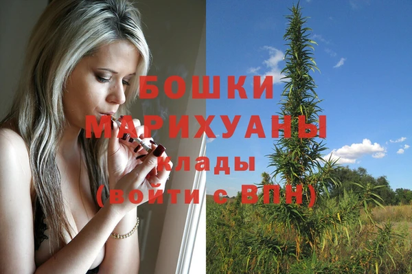 не бодяженный Семёнов