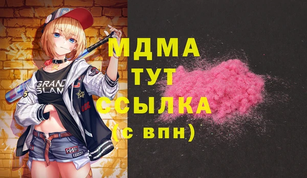 гашик Алексин
