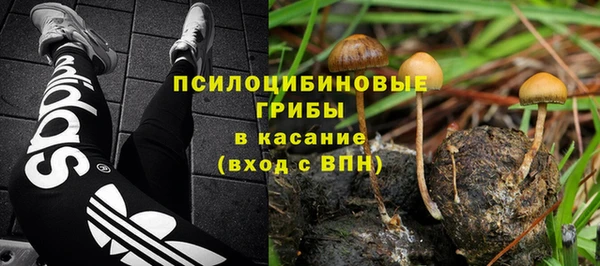СК Абинск
