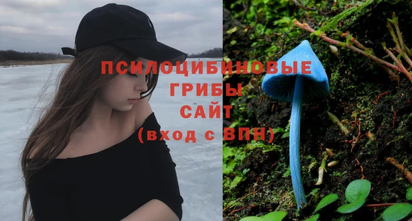 СК Абинск