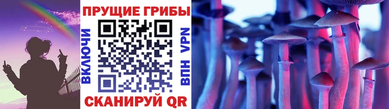 Псилоцибиновые грибы мицелий Зубцов